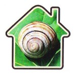 Zdravý domov